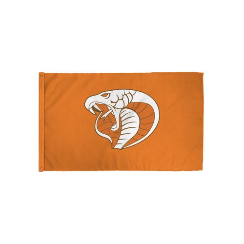 Picture of 3x5 Flag