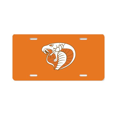 Picture of Aluminum License Plate