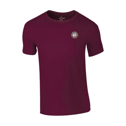 Picture of Classic T-Shirt - maroon