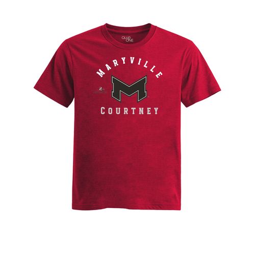 Picture of Womens Fitted Triblend Tee - Red