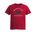 Picture of Womens Fitted Triblend Tee - Red