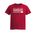 Picture of Womens Fitted Triblend Tee - Red