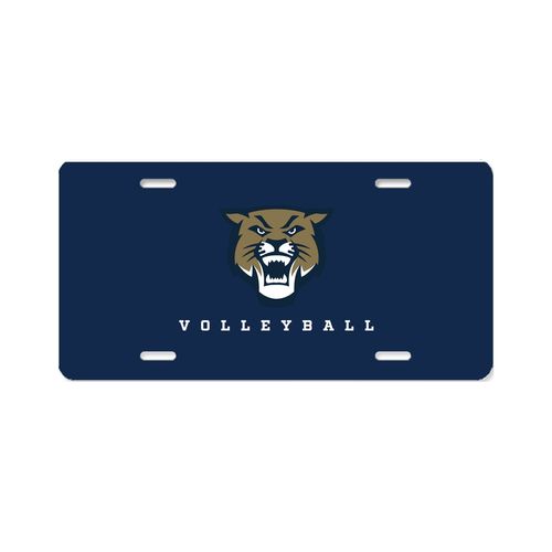 Picture of Aluminum License Plate