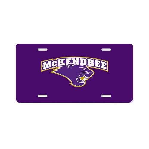 Picture of Aluminum License Plate