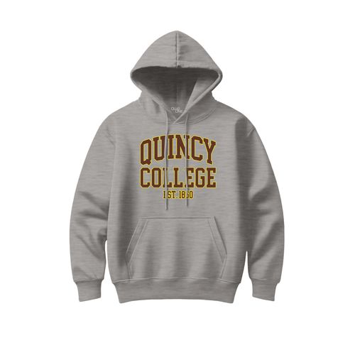 Picture of Classic Hoodie - Light Grey