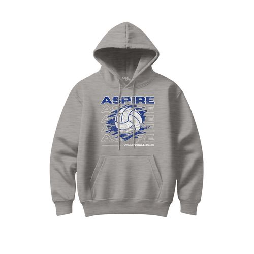 Picture of Classic Hoodie - Light Grey