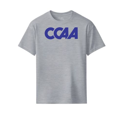 Picture of Youth Classic Tee - Light Grey