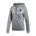 Picture of Women's Team19 1/4 Hoody - grey