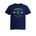 Picture of Womens Fitted Triblend Tee - Heather White