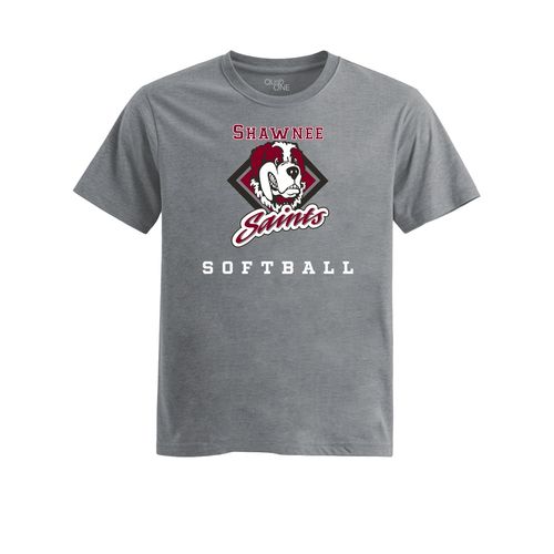 Picture of Womens Fitted Triblend Tee - Heather Grey