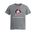 Picture of Womens Fitted Triblend Tee - Heather Grey