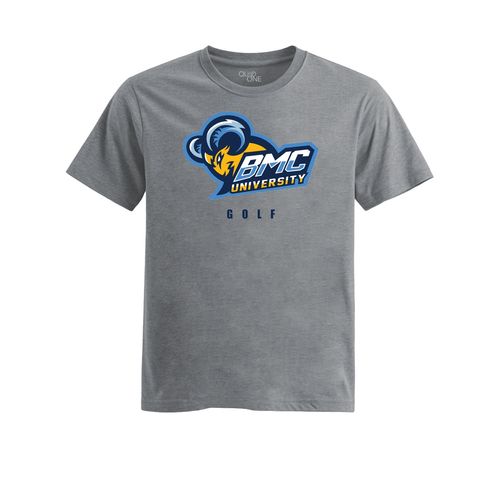 Picture of Womens Fitted Triblend Tee - Heather Grey