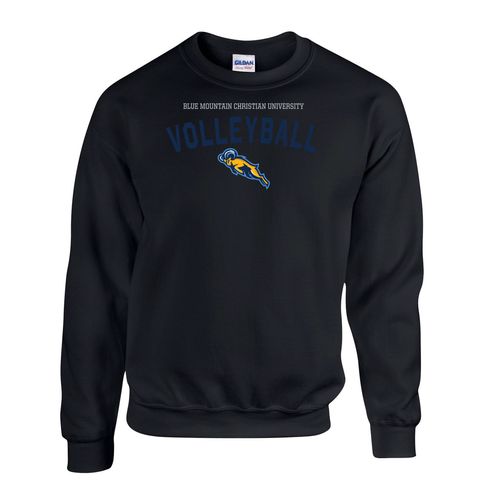 Picture of Fleece Crewneck - black