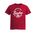 Picture of Womens Fitted Triblend Tee - Heather Red