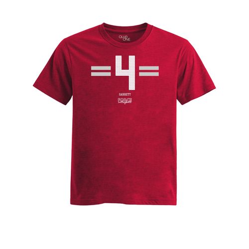 Picture of Womens Fitted Triblend Tee - Heather Red