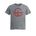 Picture of Womens Fitted Triblend Tee - Heather Grey