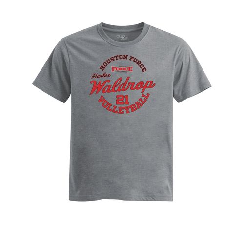 Picture of Womens Fitted Triblend Tee - Heather Grey