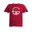 Picture of Womens Fitted Triblend Tee - Heather Red