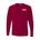 Picture of Dri-Power Long Sleeve T-Shirt - Cardinal