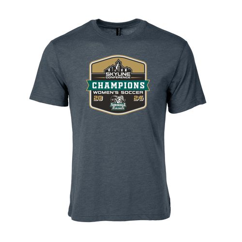 Picture of Farmingdale W Soccer 2024 CHAMPIONS - Triblend T-Shirt - charcoal heather