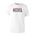 Picture of Triblend T-Shirt - Charcoal Heather