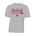 Picture of Youth Performance T-Shirt - scarlet