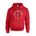 Picture of Fleece Hoodie - Sport Grey