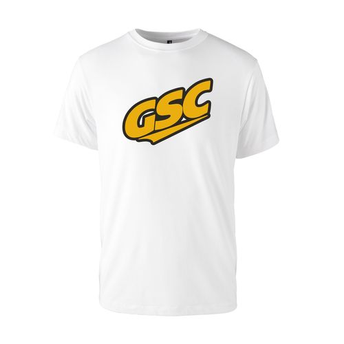 Picture of Triblend T-Shirt - white