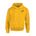 Picture of Fleece Hoodie - gold