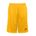 Picture of Russell Mesh Shorts with Pockets - gold