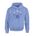 Picture of Fleece Hoodie - Black