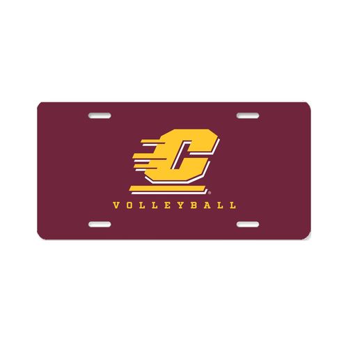 Picture of Aluminum License Plate