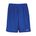 Picture of Badger 7" Pro Mesh Shorts - Royal