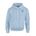 Picture of Fleece Hoodie - Sport Grey