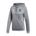 Picture of Women's Team19 1/4 Hoody - grey