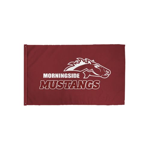 Picture of 3x5 Flag - White