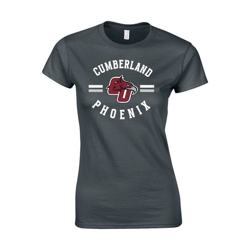 Picture of Women's Semi-Fitted Classic T-Shirt  - Charcoal