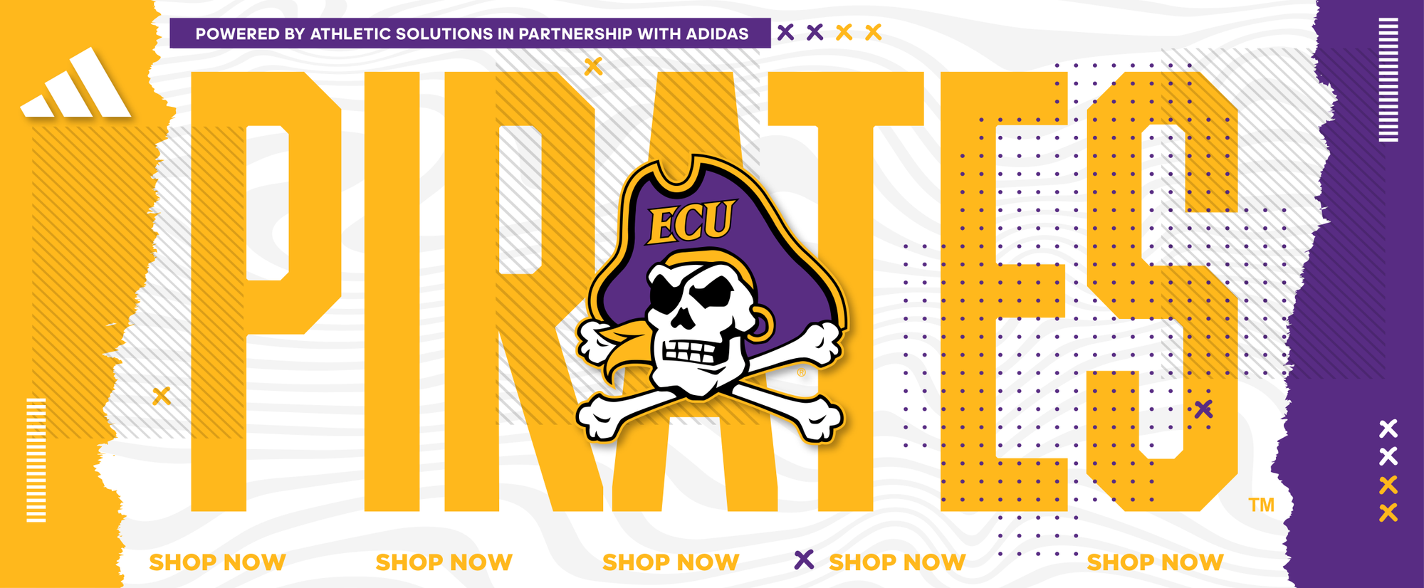 NCAA Zephyr East Carolina Pirates ECU Blanc Épais Bandeau Tricot Sweat Bande Gym