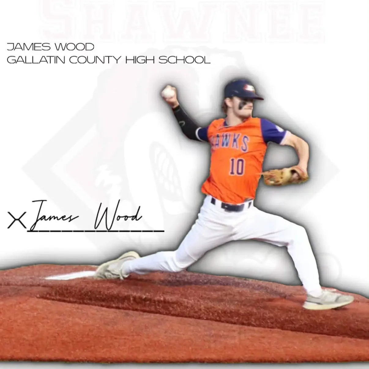 James Wood