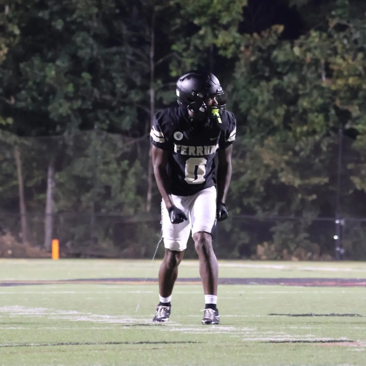 Tay Carter