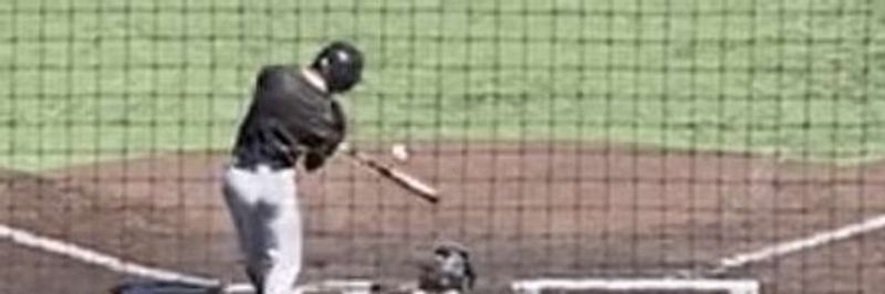 Blake Maes