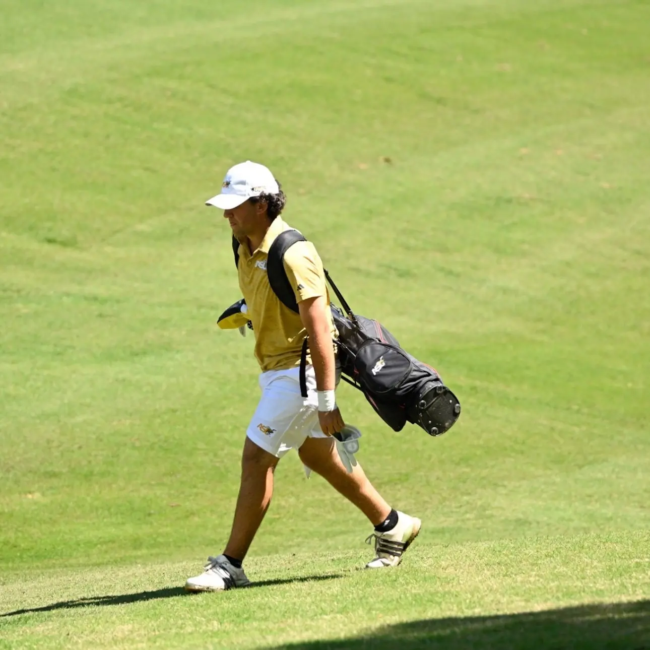 Telmo Sueiro
