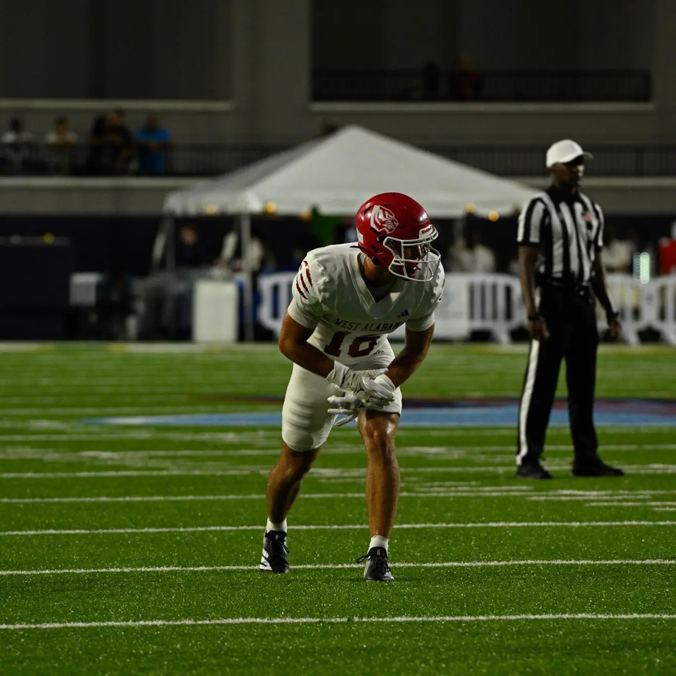 Kaden Cupp