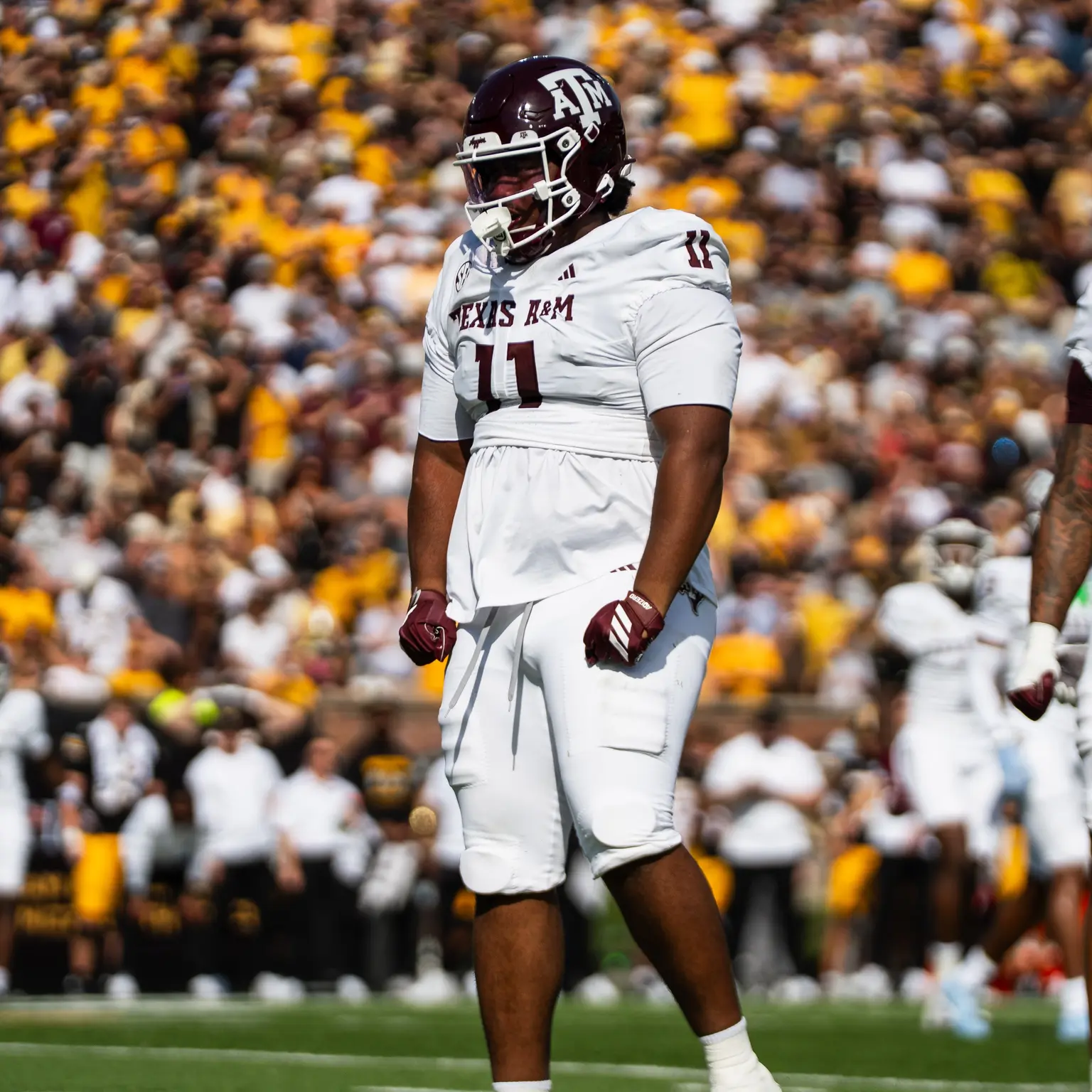Brandon Davis Swain