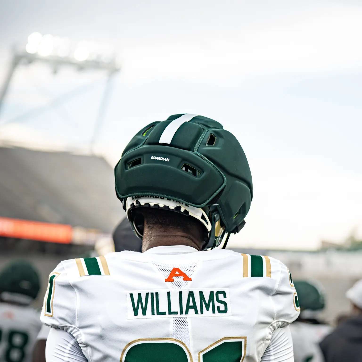 Mickey Williams