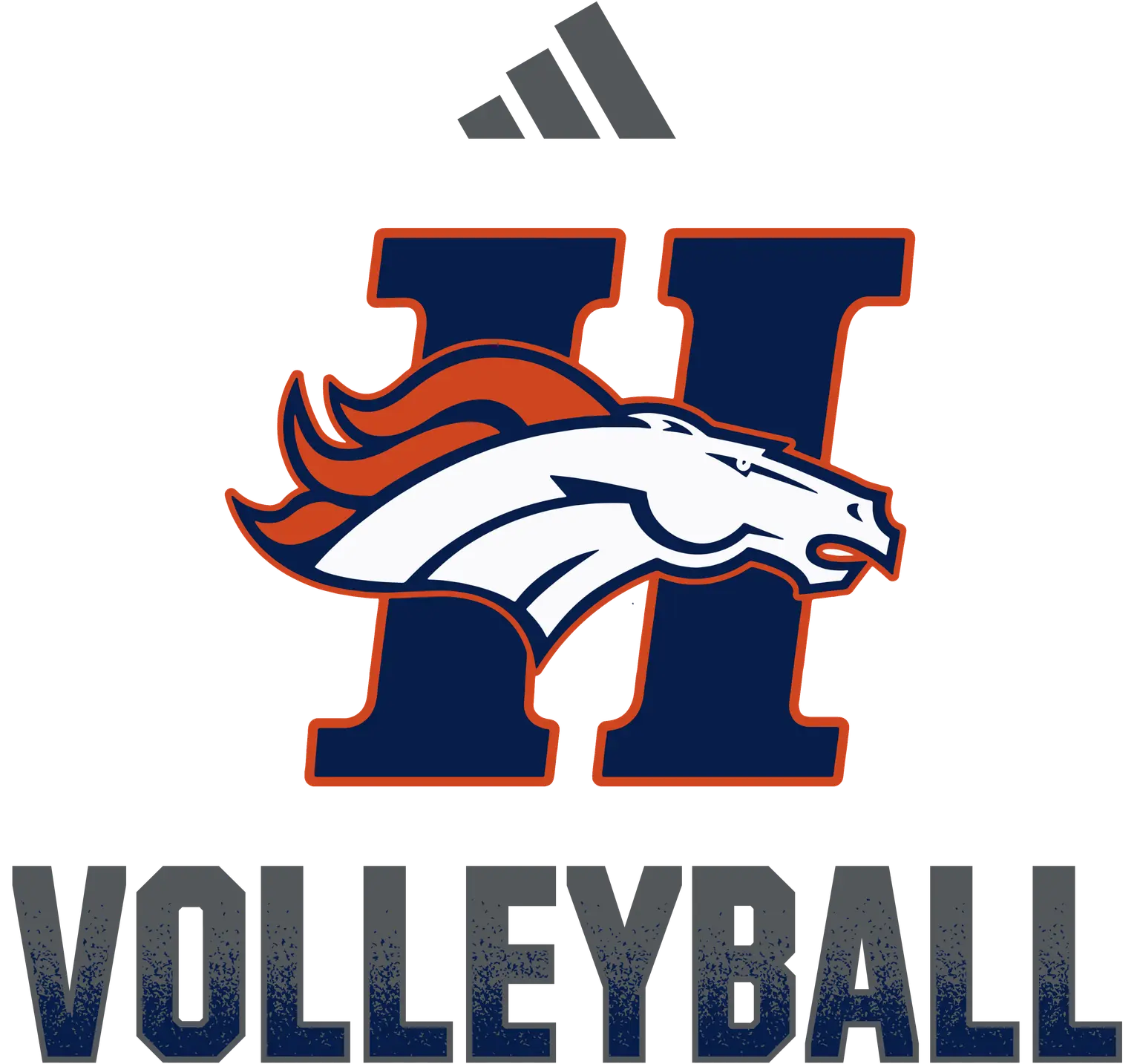 VOLLEYBALL