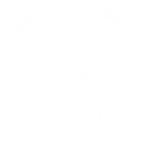 Colorado State University banner logo
