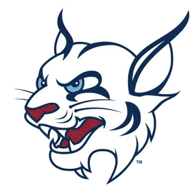 St. Thomas University banner logo