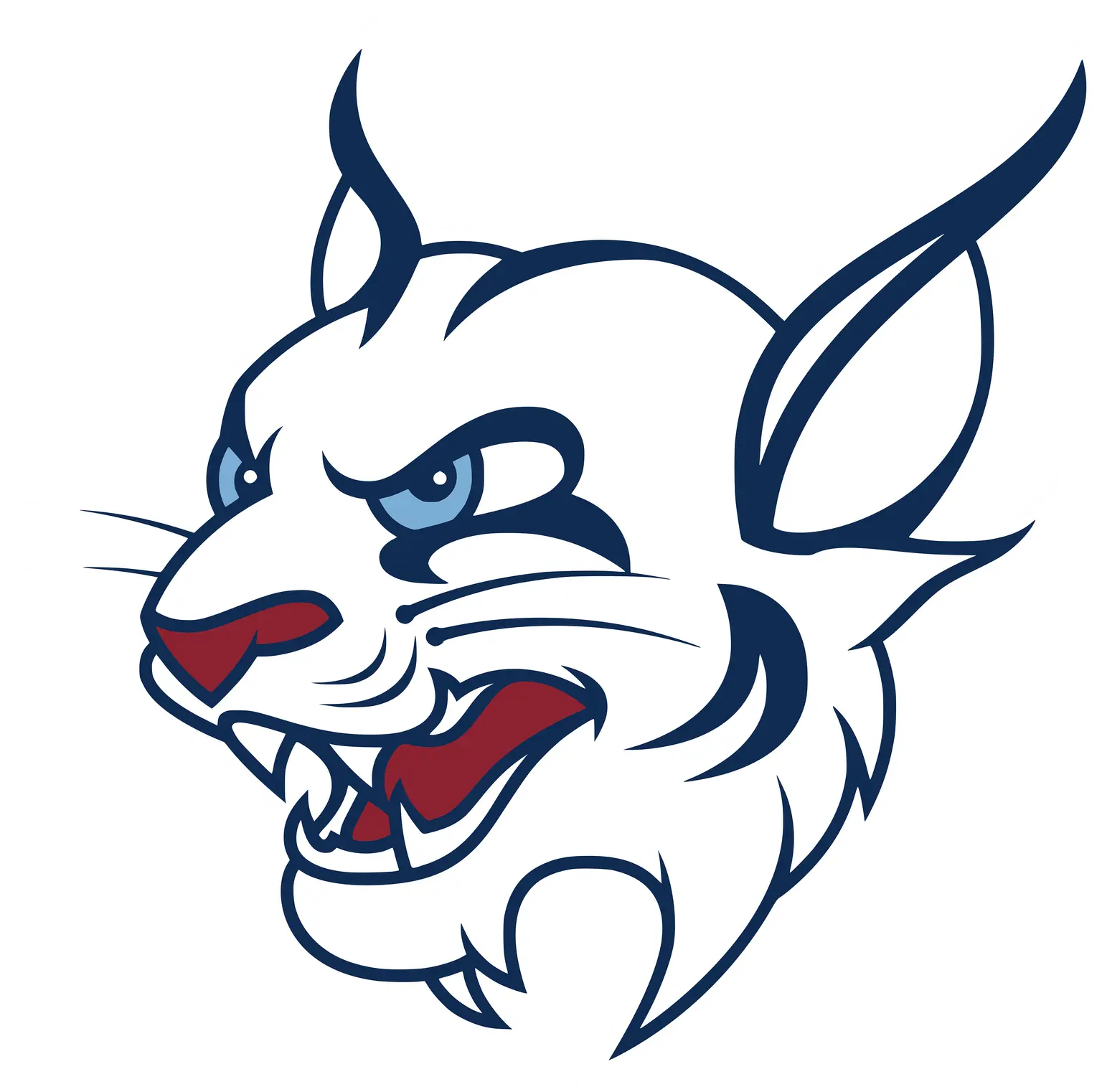 St. Thomas University
