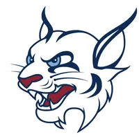 St. Thomas University banner logo